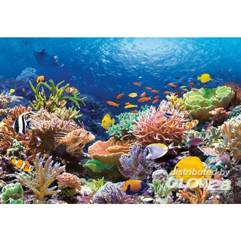 Poissons de corail, puzzle 1000 pièces