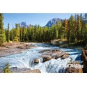 Puzzle Athabasca River, Jasper Nat.Park, Ca, Puzzl