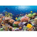 Poissons de corail, puzzle 1000 pièces