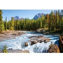 Puzzle Athabasca River, Jasper Nat.Park, Ca, Puzzl