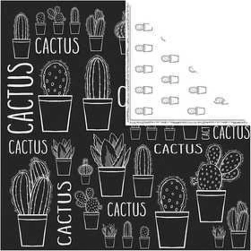 Papier Design, feuille 30,5x30,5 cm, 180 gr, , cactus, 5flles