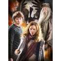 Puzzle Harry Potter - 3x1000 pièces