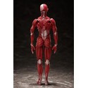 Original Character figurine Figma Human Anatomical Model 15 cm