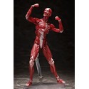 Original Character figurine Figma Human Anatomical Model 15 cm