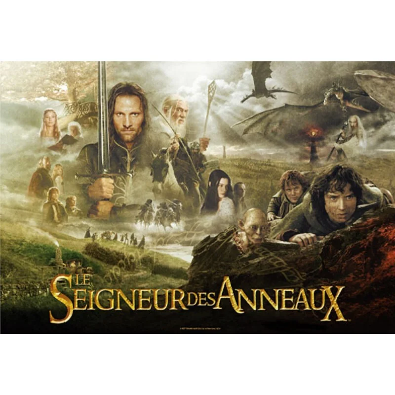 Le Seigneur Des Anneaux LOTR Puzzle Poster Français 1000pcs