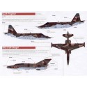 Décal Forces aériennes post-soviétiques : Géorgie. Marquages ​​Sukhoi Su-25 2007, Marquages ​​Sukhoi Su-25UB 2007, Aero L-29, Ae