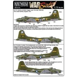 Décal Boeing B-17F-125-BO Flying Fortress 42-30836 'Dragon Lady' 551st BS 385th BG (HR-V) - B-17F-25-BO 41-24554 'The Mustang/La