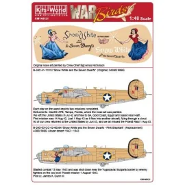 Décal Consolidated B-24D 343 BS 98 BG - CO 41-11913/42-40364 'Blanche Neige et les Sept Nains' '- versions I & II