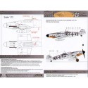 Décal Base d'essai Messerschmitt Bf-109G-6/N NH+VZ Werneuchen