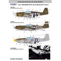 Décal Art nord-américain du nez du P-51 Mustang, partie 2