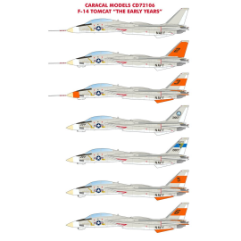 Décal Grumman F-14 Tomcat - Les premières années