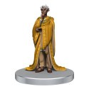 Critical Role: NPCs of Wildemount miniatures Set