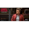 James Dean statuette 1/4 Superb My Favourite Legend Series James Dean (Red jacket) 52 cm