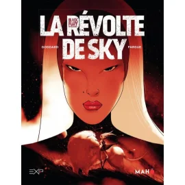 Blackfury Tome 2 - La Révolte De Sky