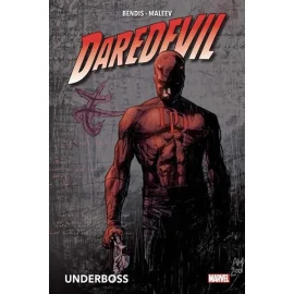 Daredevil (deluxe) tome 1