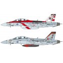 F/A-18F Super Hornet Spec.Colors