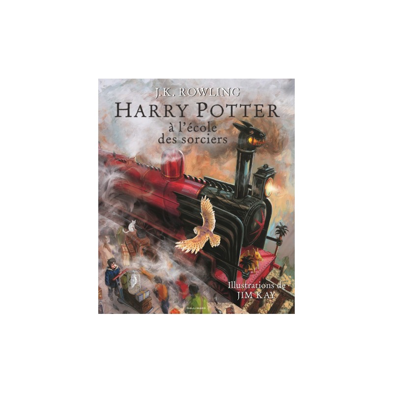 Gallimard-jeunesse Harry Potter (Roman Illustré) Tome 1 - Harry Potte