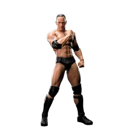 WWE THE ROCK FIGUARTS