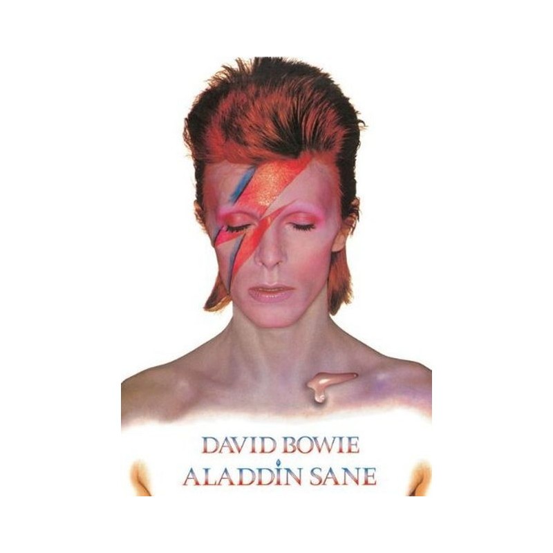 DAVID BOWIE ALADDIN SANE TIN SIGN