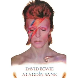 DAVID BOWIE ALADDIN SANE TIN SIGN