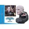 HARRY POTTER-LORD VOLDEMORT BUST