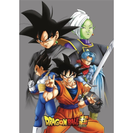 DRAGON BALL SUPER - Plaid Polaire 100% Polyester 100x140cm