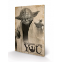 STAR WARS - May the Force Be with You - Impression sur bois 40x59cm