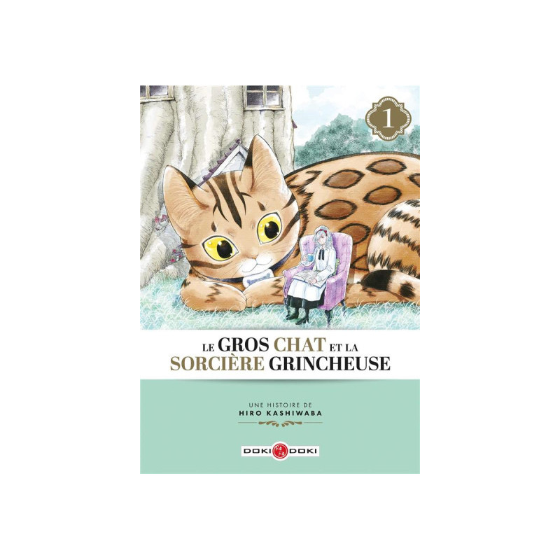 le gros chat et la sorciere grincheuse Tome 1 : le gros chat et la sorciere grincheuse