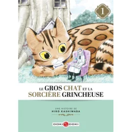 le gros chat et la sorciere grincheuse Tome 1 : le gros chat et la sorciere grincheuse