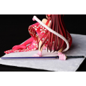 Fairy Tail figurine Erza Scarlet - Cherry Blossom CAT Gravure_Style 13 cm