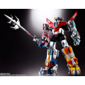 Beast King Golion Diecast Figure Soul of Chogokin GX-71SP Beast King Golion Chogokin 50th. Worm. 27cm