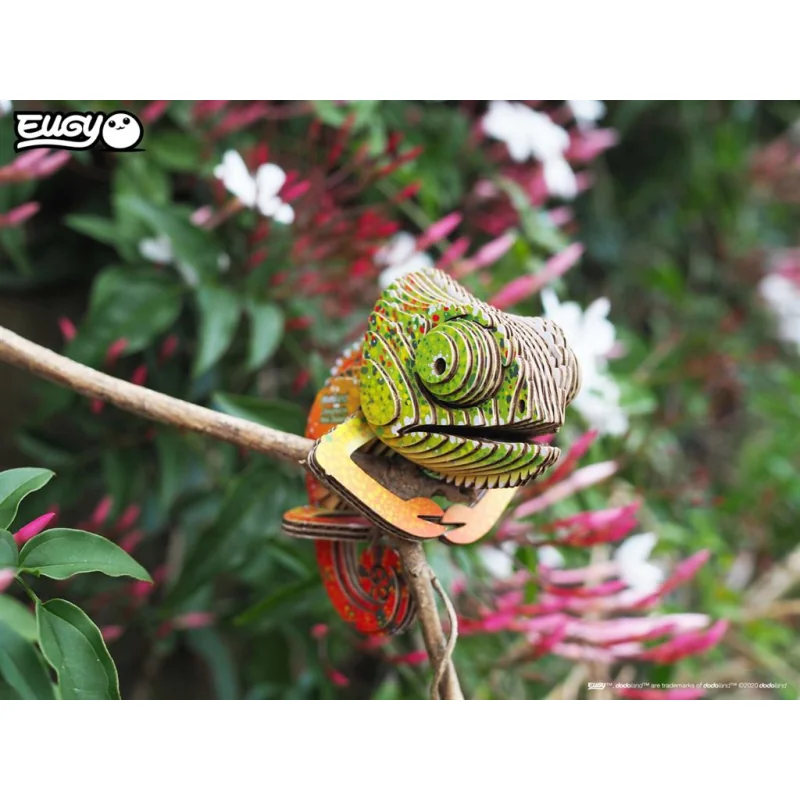 ANIMAL DE LA FORÊT / CAMÉLÉON