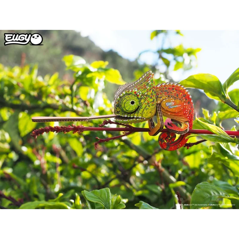 ANIMAL DE LA FORÊT / CAMÉLÉON