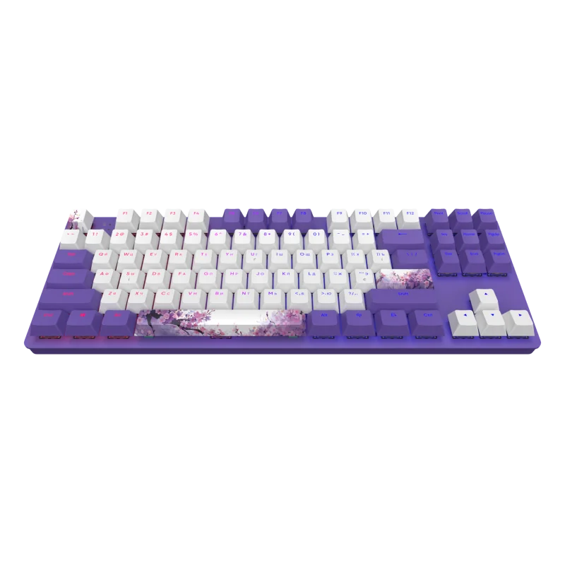  Dark Project One - 87 Violet Horizons RGB ANSI Keyboard QWERTY