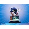 Sonic Adventure Sonic the Hedgehog Collector's Edition 23 cm