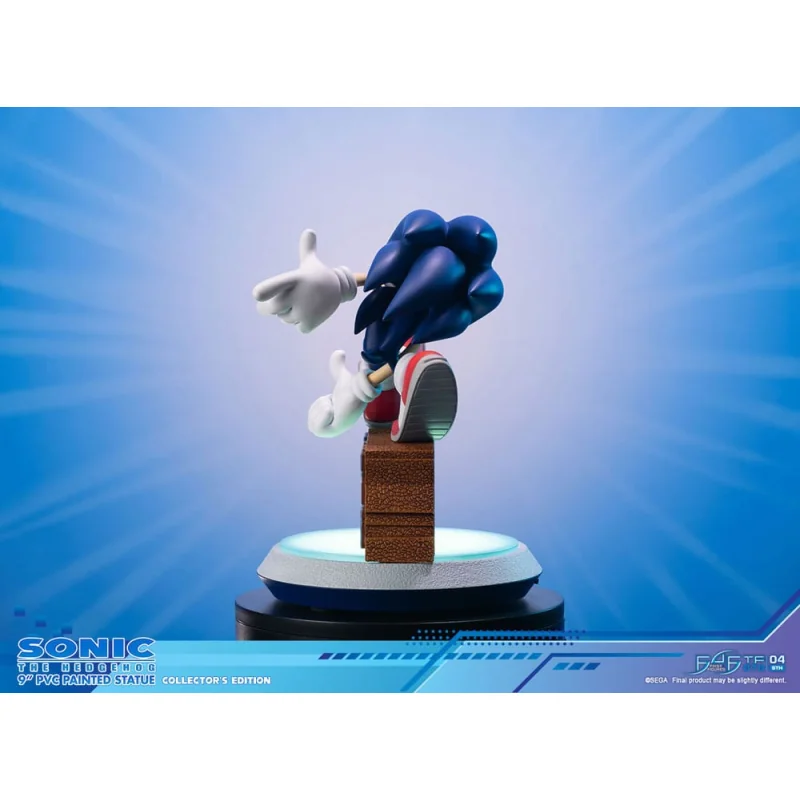 Sonic Adventure Sonic the Hedgehog Collector's Edition 23 cm