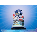 Sonic Adventure Sonic the Hedgehog Collector's Edition 23 cm