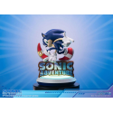 Sonic Adventure Sonic the Hedgehog Collector's Edition 23 cm