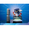 Sonic Adventure Sonic the Hedgehog Collector's Edition 23 cm