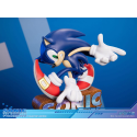 Sonic Adventure Sonic the Hedgehog Collector's Edition 23 cm