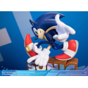 Sonic Adventure Sonic the Hedgehog Collector's Edition 23 cm