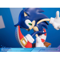 Sonic Adventure Sonic the Hedgehog Collector's Edition 23 cm