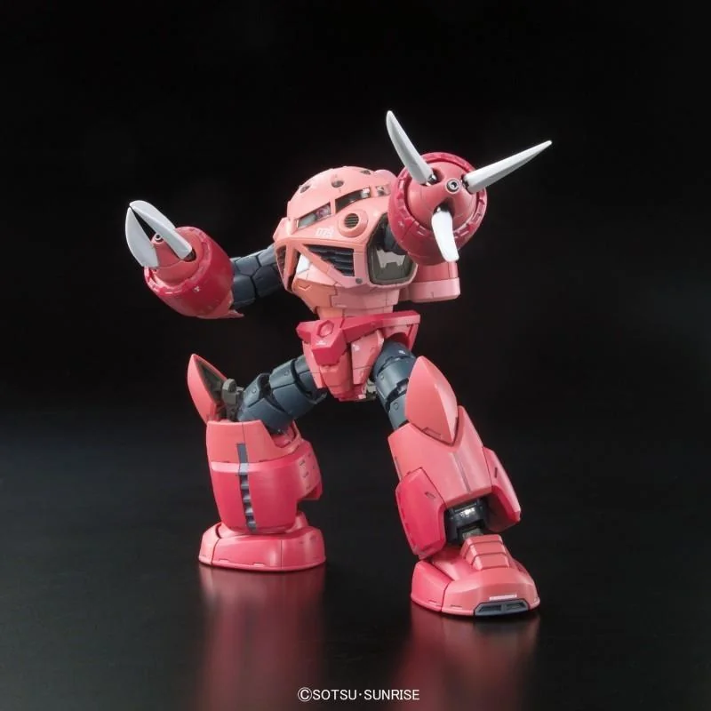 RG 1/144 Z GOK CHAR CUSTOM