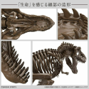 Fossile Collection 1/32 Imaginary Skeleton Tyrannosaurus