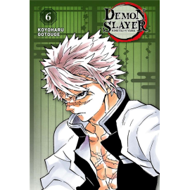 Demon Slayer - édition pilier tome 6