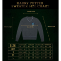 Harry Potter: Pull Serpentard Taille L