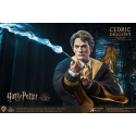 Harry Potter My Favourite Movie figurine 1/6 Cedric Diggory Deluxe Version 30 cm