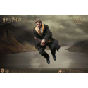 Harry Potter My Favourite Movie figurine 1/6 Cedric Diggory Deluxe Version 30 cm