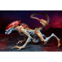 Aliens figurine Panther Alien (Kenner Tribute) 23 cm