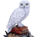 STATUE DE HEDWIG HARRY POTTER